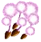 bdayjan2017glowpollen.png