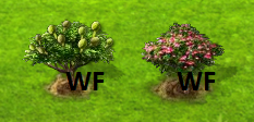 01.png