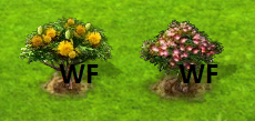 02.png