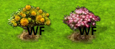 03.png