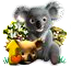 koala1.png