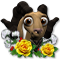flower-power.png