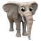 elephantworkshop_00_regular_icon.png