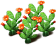 opuntia_plant_layer2.png