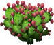 opuntia_plant_layer3.png