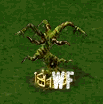 hangingmoss_upgrade_2.gif
