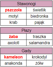zwierzaki_kategorie.png
