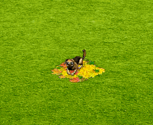 urokijesieni.gif
