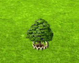 jujubaXL.gif