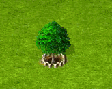 wierzbaxl.gif