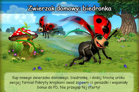 biedronka_news1.png