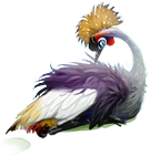breedingsep2018_crane4.png
