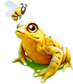 breedingsep2018_toad4.png