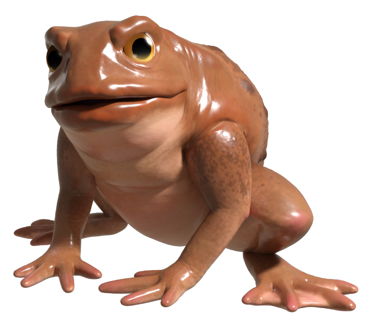 toad_stable_00_regular_MR4.png
