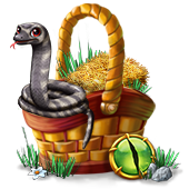 breedingjan2019basket1_big.png