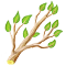 countryjan2019branch_icon_big.png