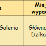 T_wypadajka_misja2