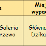 T_wypadajka